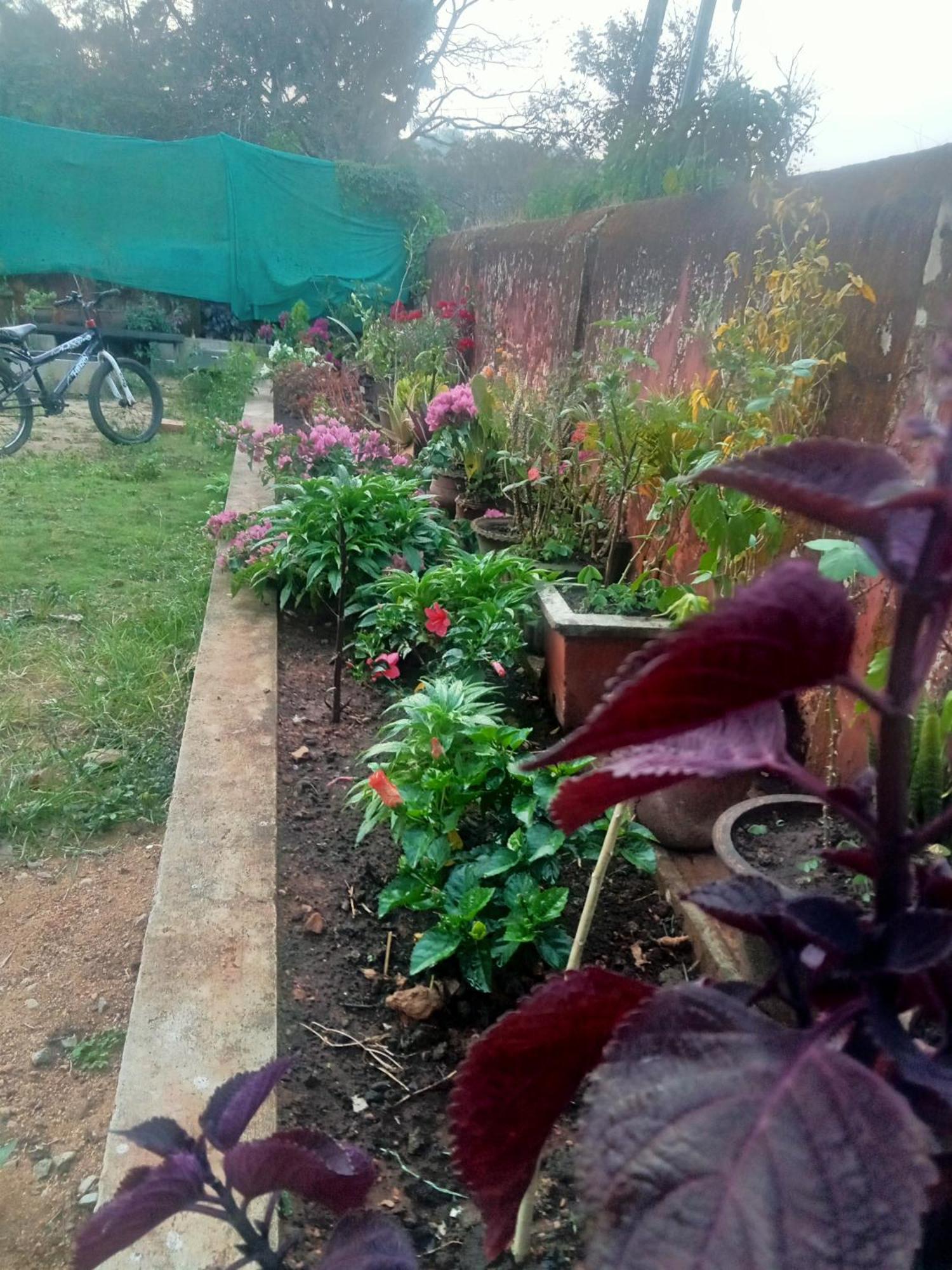 Eshwarkrupa Homestay ماديكيري المظهر الخارجي الصورة